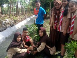 Gerakan Penghijauan Prodi PBI STKIP Budidaya Binjai